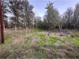 Property in Bastrop, TX thumbnail 2