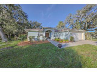 Property in Webster, FL 33597 thumbnail 1