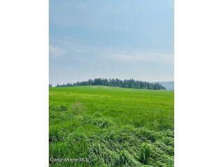 Property in Worley, ID 83876 thumbnail 2
