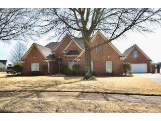 Property in Olive Branch, MS thumbnail 3