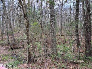 Property in Tallassee, TN 37878 thumbnail 0