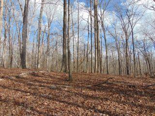 Property in Dover, TN 37058 thumbnail 0
