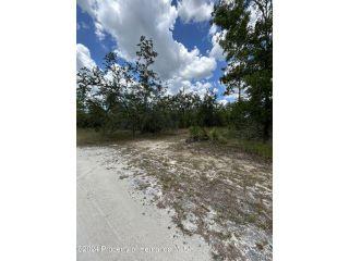 Property in Weeki Wachee, FL thumbnail 2