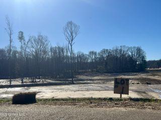 Property in Coldwater, MS 38618 thumbnail 2