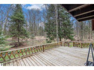 Property in Thompsonville, MI 49683 thumbnail 2