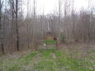 Property in Greenbush, MI thumbnail 6