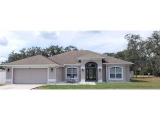 Property in Spring Hill, FL thumbnail 1