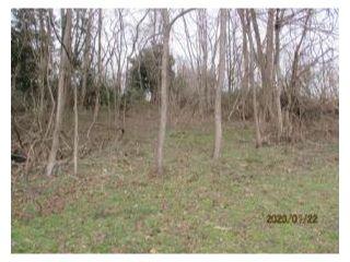 Property in Kingsport, TN thumbnail 6