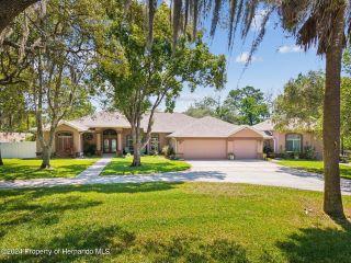 Property in Spring Hill, FL thumbnail 3