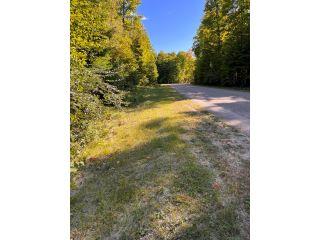 Property in Grayling, MI 49738 thumbnail 2