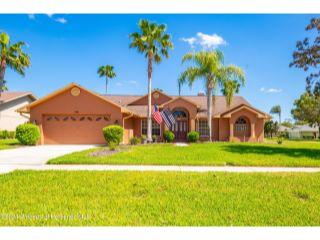 Property in Spring Hill, FL thumbnail 2