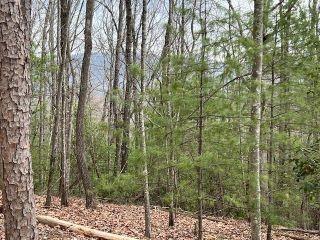 Property in Ellijay, GA thumbnail 2