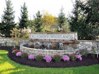 Property in Allegheny Twp - WML, PA thumbnail 3