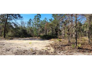 Property in Dunnellon, FL 34433 thumbnail 0