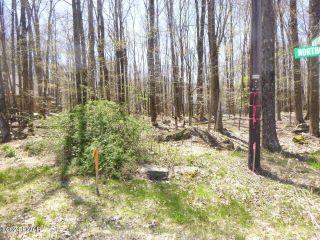 Property in Lake Ariel, PA 18436 thumbnail 1