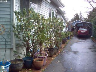 Property in Coos Bay, OR 97420 thumbnail 2