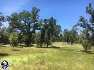 Property in Groveland, CA thumbnail 6