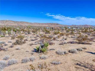 Property in Yucca Valley, CA 92284 thumbnail 2