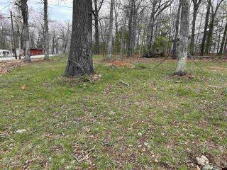 Property in Mountain Home, AR thumbnail 6