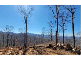 Property in Hayesville, NC thumbnail 2