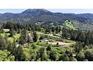 Property in Brookings, OR 97415 thumbnail 1