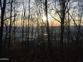 Property in Pikeville, TN 37367 thumbnail 1