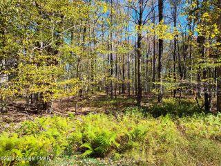 Property in Pocono Lake, PA thumbnail 3