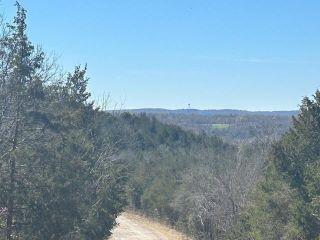 Property in Lead Hill, AR thumbnail 3