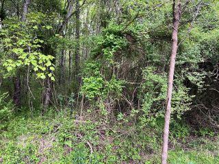 Property in Hayesville, NC 28904 thumbnail 1