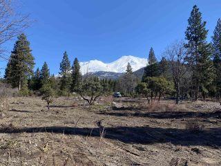 Property in Mt Shasta, CA 96067 thumbnail 2