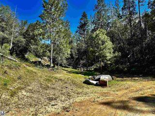 Property in Sonora, CA thumbnail 4