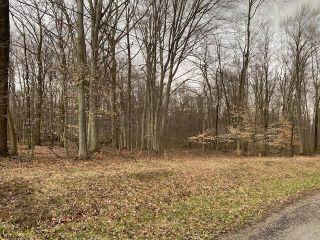 Property in Mount Gilead, OH thumbnail 5