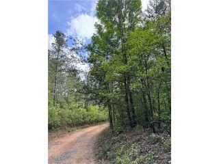 Property in Talking Rock, GA 30175 thumbnail 0