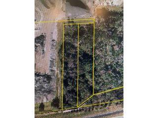 Property in Winter Garden, FL thumbnail 1