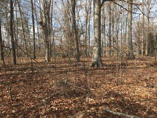 Property in White Pine, TN 37890 thumbnail 1