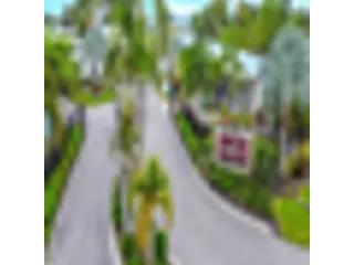 image 23