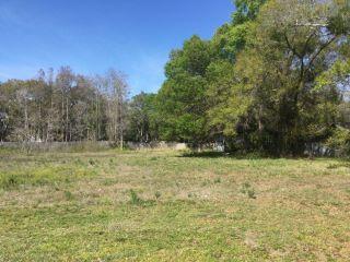 Property in Tampa, FL 33625 thumbnail 0
