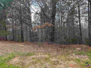 Property in Bonaire, GA thumbnail 4