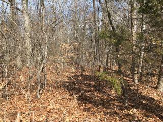 Property in White Pine, TN 37890 thumbnail 2