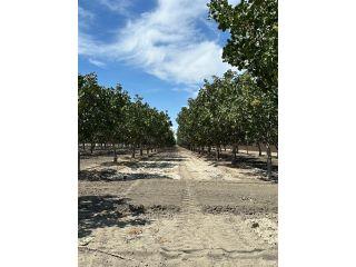 Property in Lemoore, CA thumbnail 2