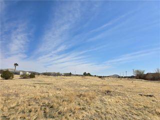 Property in Rosamond, CA thumbnail 5