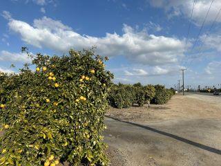 Property in Ducor, CA thumbnail 1