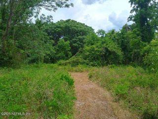 Property in Orange Park, FL thumbnail 1