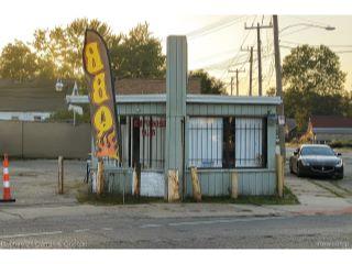 Property in Detroit, MI thumbnail 3