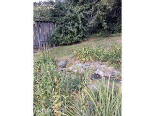image 25