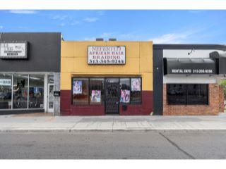 Property in Detroit, MI 48221 thumbnail 0