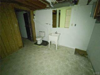 image 33