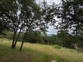 image 24