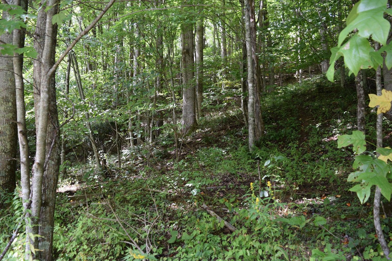 Property Image for TBD Off Cove Creek Road