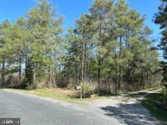Property Image for Lot Daughertytown Rd Parcel 766
